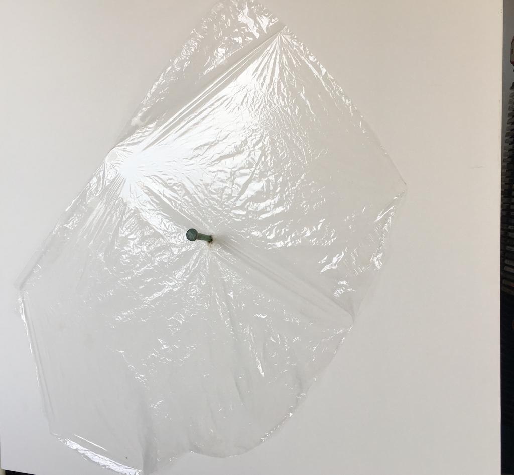 Amedeo Gabucci in art from the Emilio Belotti: Somatic Traits Amedeo Gabucci in art from the Emilio Belotti: Somatic Traits