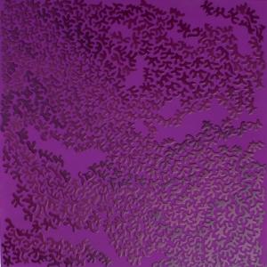 Particelle Elementari Particelle Elementari