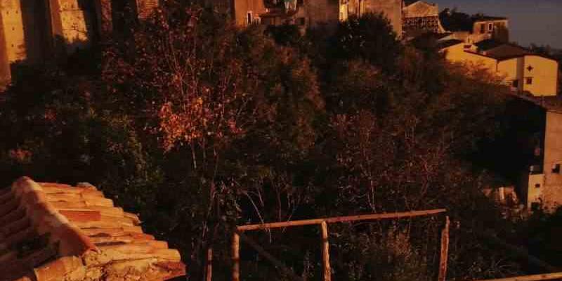 Terra Vivente Art Studio painting workshop