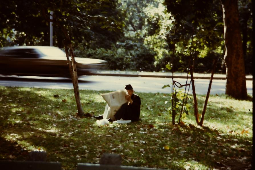 NEW YORK - CENTRAL PARK