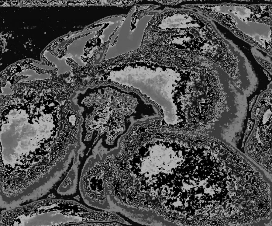 Lux. Libera reinterpretazione....