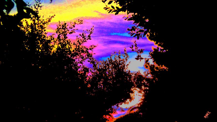 Senso positivo Senso positivo