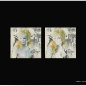 Biografia di un uomo senza importanza