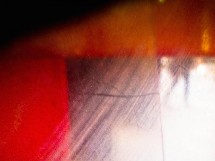 A Man, A Leaf and A Passion