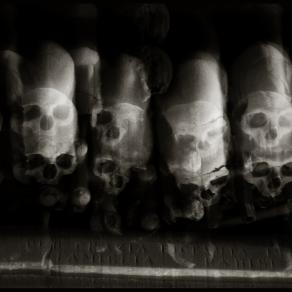  Augusto De Luca ! photo 23