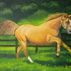 LG 0203 - Kalusha la cavallina