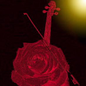 . . . TI HO DONATO UNA ROSA !!! . . . 