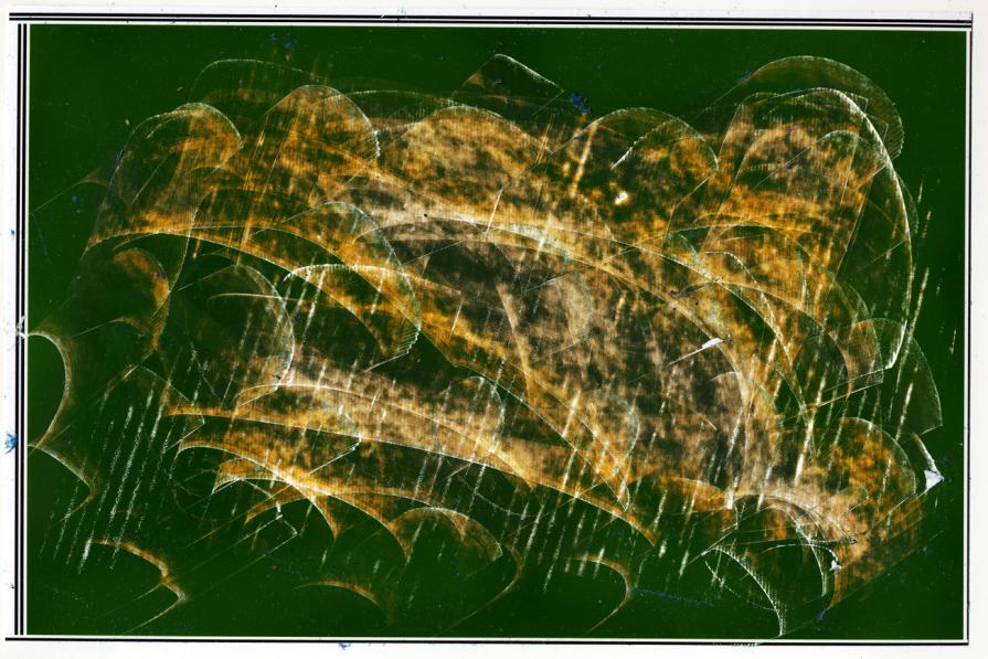 il vento muove il verde in eventi sensibili.