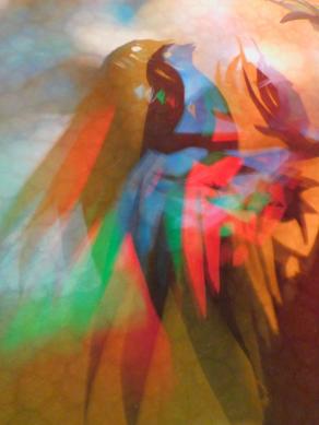  I COLORI DELLA BIODIVERSITÀ