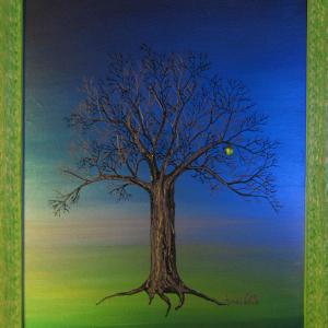 I SAGGI DELLA TERRA I SAGGI DELLA TERRA