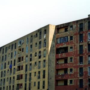 Controluce - Cicognani/Zamboni