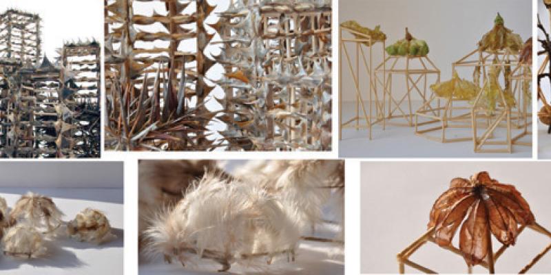 GIULIA BERRA, MOSTRA PERSONALE