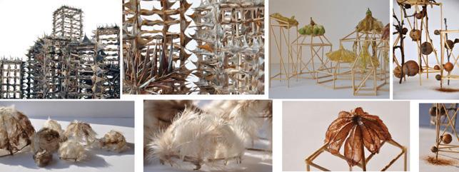 GIULIA BERRA, MOSTRA PERSONALE