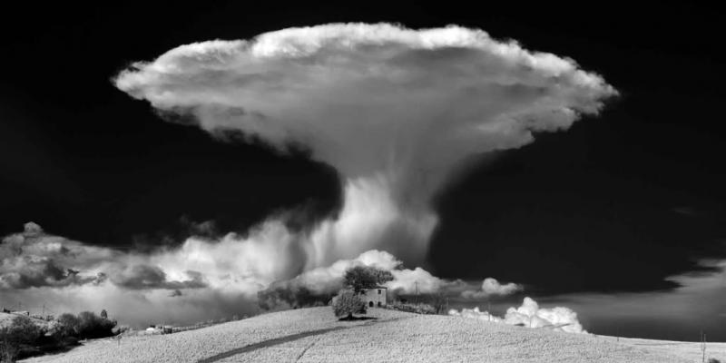 ArteForte 2011-Mario Vidor