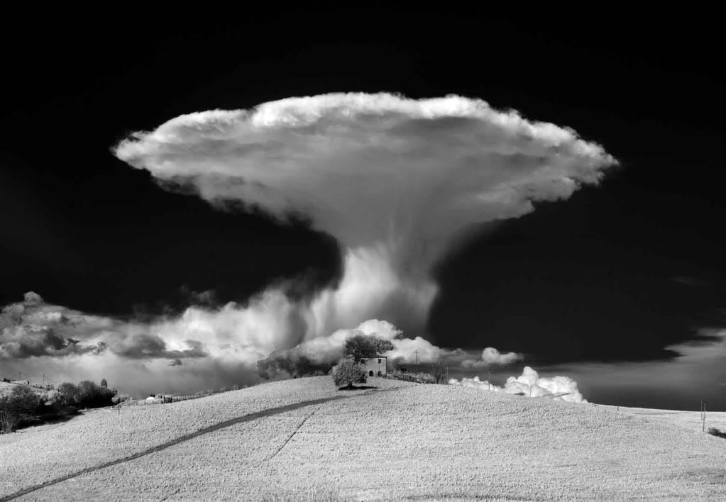 ArteForte 2011-Mario Vidor