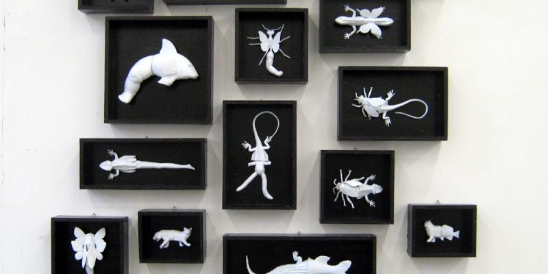 The Glocal Rookie of the Year The Glocal Rookie of the Year