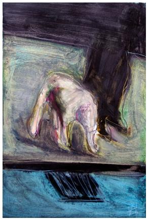 il cane di francesco