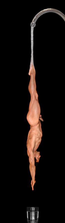 THE DIVE - IL TUFFO THE DIVE - IL TUFFO