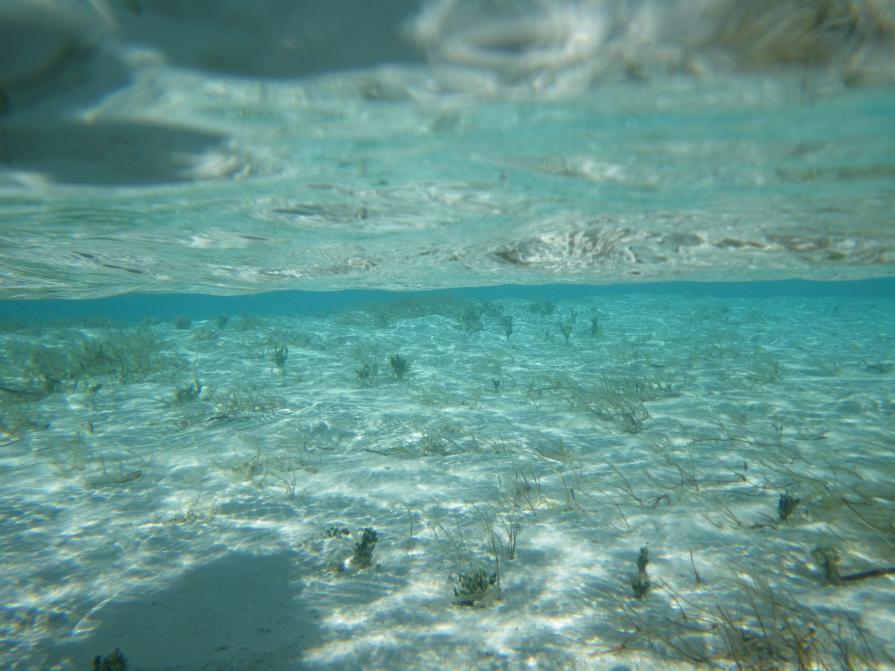 Terra e Mare Terra e Mare
