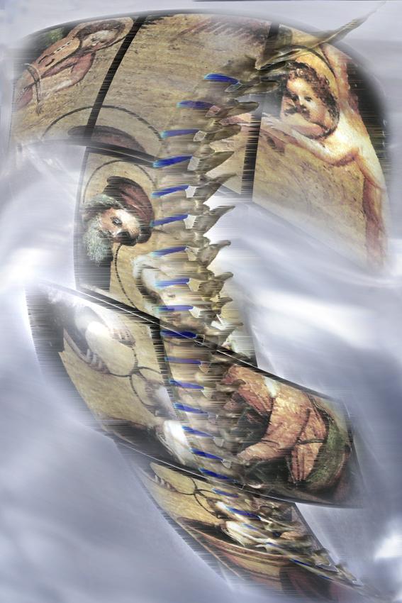 dai che abbiamo il vento in poppa..