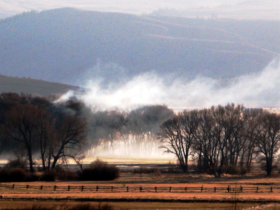 Morning Mountain Mist 