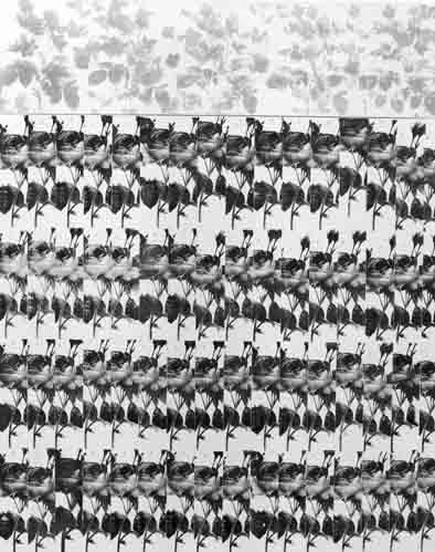 The Storyteller The Storyteller