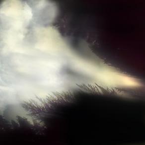 soppra il boschetto d'un tratto si forma un viso tra le nuvole con un soffio di vento.....