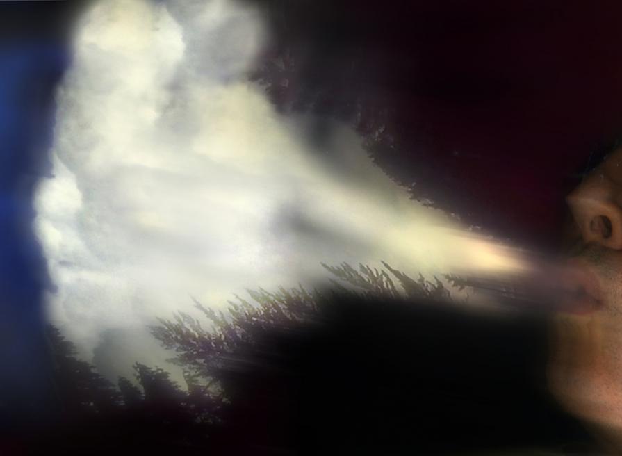 soppra il boschetto d'un tratto si forma un viso tra le nuvole con un soffio di vento.....