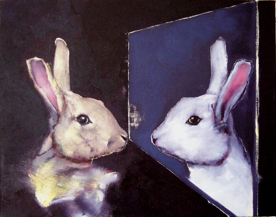 Two holes in a rabbit