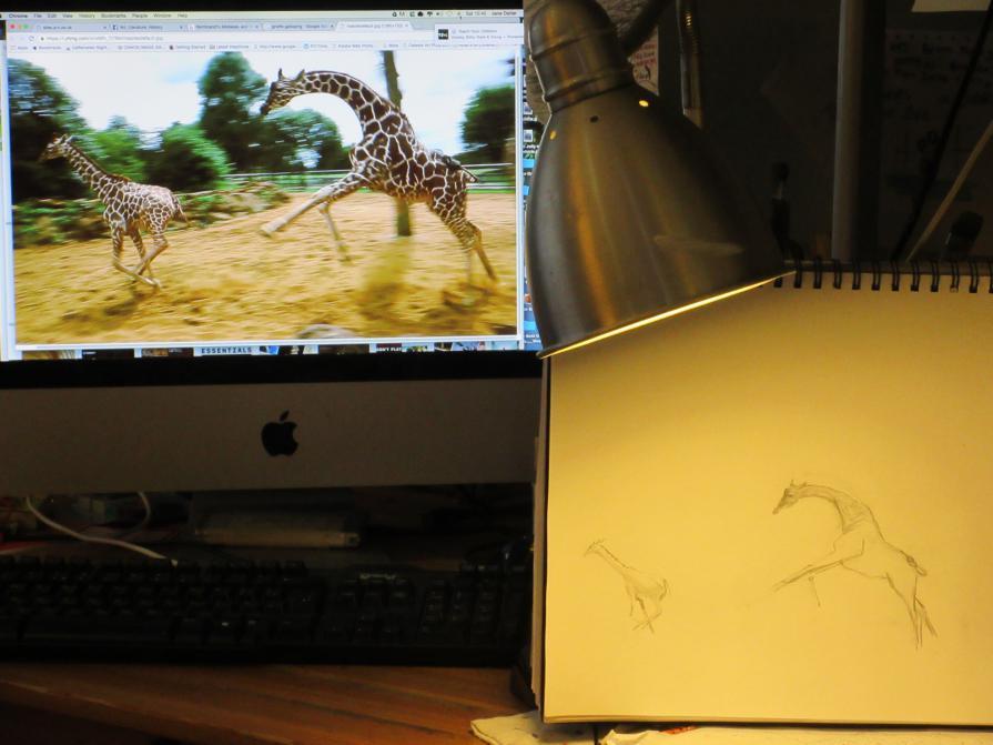 Drawing from the computer