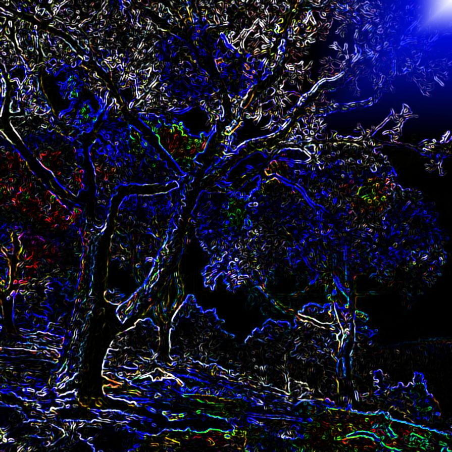 Nei giardini che nessuno sa Ti darei gli occhi miei per vedere ciò che non vedi !!!