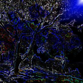 Nei giardini che nessuno sa Ti darei gli occhi miei per vedere ciò che non vedi !!!