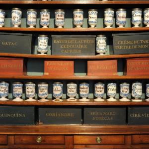 Hotel Dieu, Bourg en Bresse Hotel Dieu, Bourg en Bresse