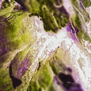 Anima - Idea e Materia