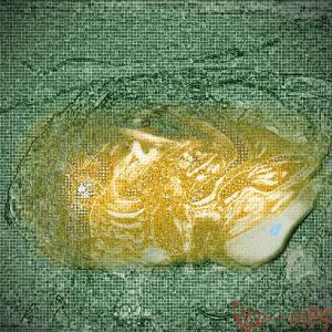 ich bin nicht politiker - ich male- französiche Revolution Ahoi - ich hasse krieg was 