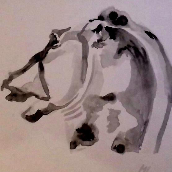 Studio per cavallo di Fidia