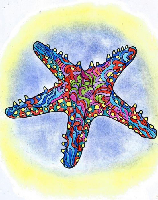 La stella marina è l'amuleto delle sirene...!!!