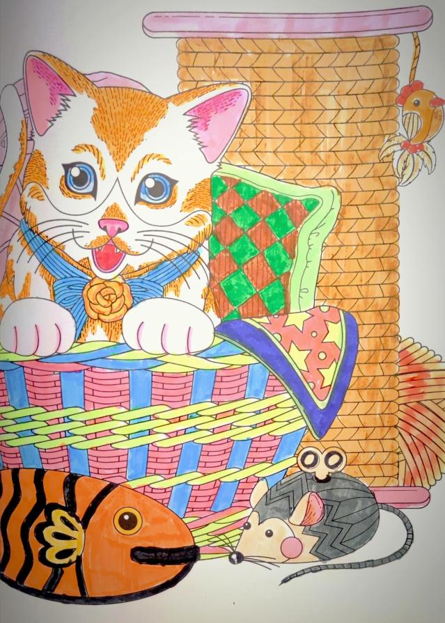 Cibo? Subito... Coccola? Forse...Essere disturbato mentre faccio un pisolino? Mai... !!!