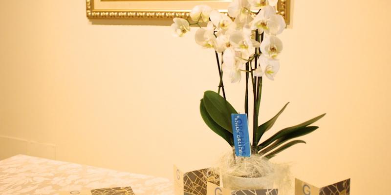 the selections are closed "The colours of soul"