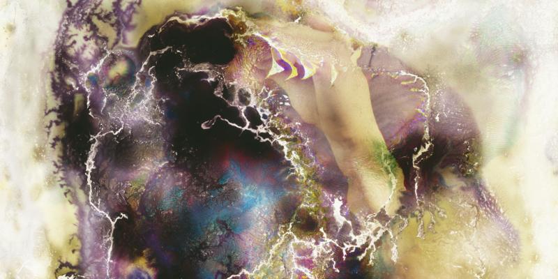 Luke Jerram & Seung Hwan Oh IMPERMANENCE: THE ART OF MICROBIOLOGY Luke Jerram & Seung Hwan Oh IMPERMANENCE: THE ART OF MICROBIOLOGY