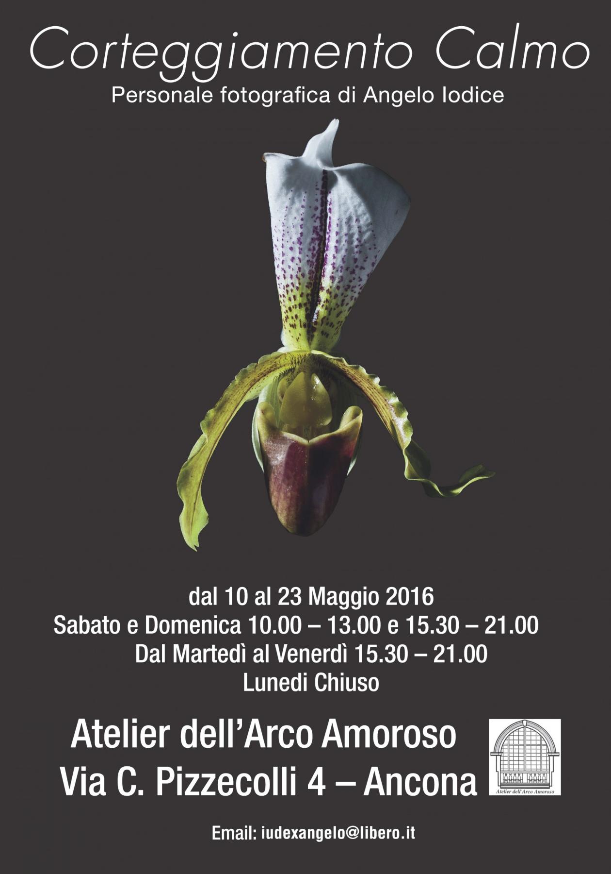 Corteggiamento Calmo