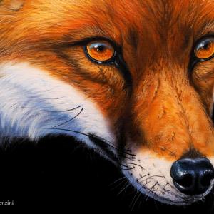 ANIMALS ART al Club La Meridiana di Modena