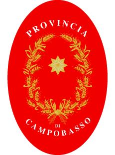 FESTIVAL VITÆ- 1^ Edizione FESTIVAL VITÆ- 1^ Edizione