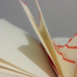 REPLAY/Il vizio dell'errore - II Edizione REPLAY/Il vizio dell'errore - II Edizione