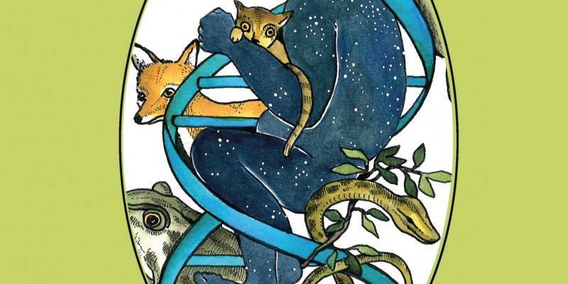 The Book Arts Fair born in the sign of the Artist’s Book and Small Edition Festival of Barcelone The Book Arts Fair born in the sign of the Artist’s Book and Small Edition Festival of Barcelone