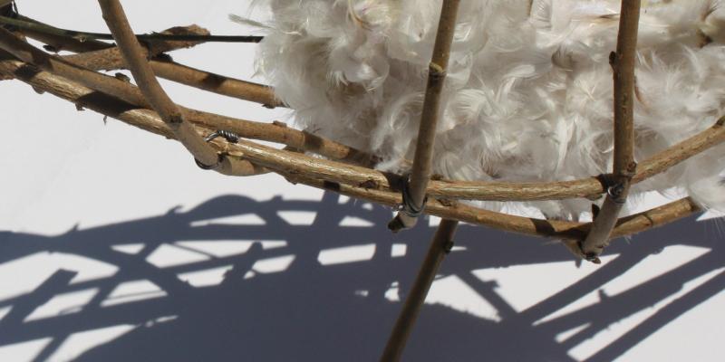 "SEmi" installazione site specific "SEmi" installazione site specific