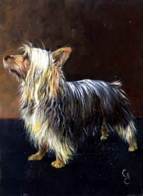 RITRATTO DI CANE