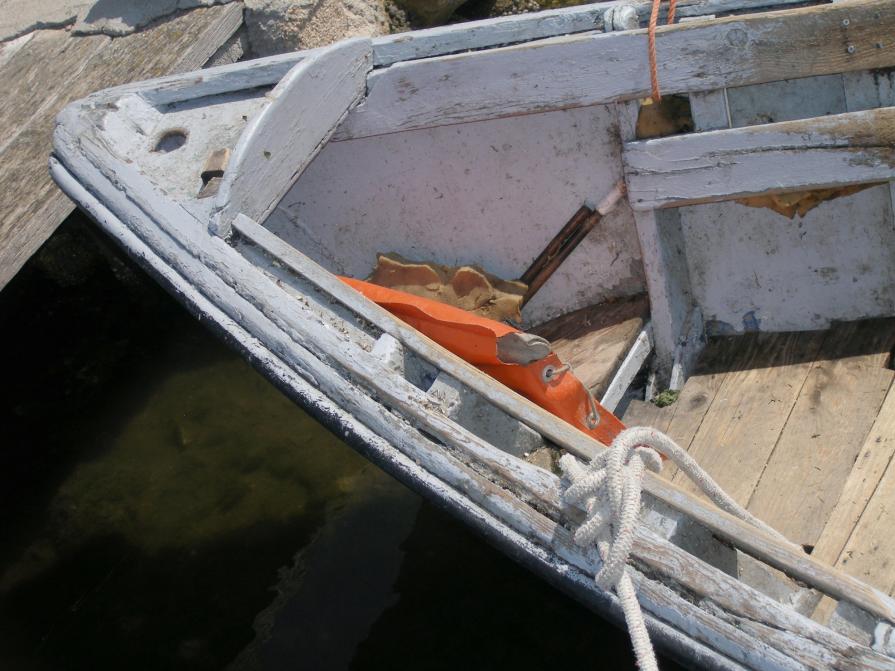 geometria di linee naturali