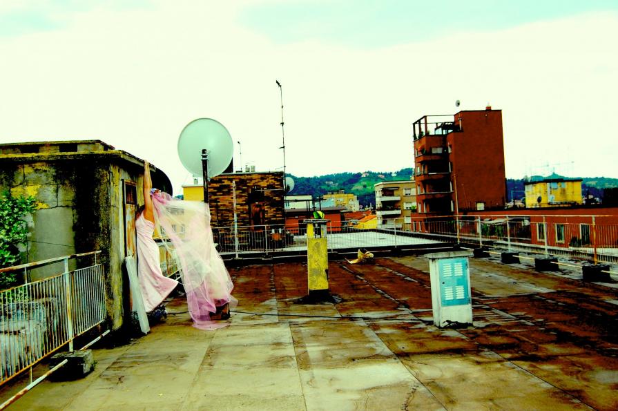 THE BRIDE IS ON MY ROOF, WHAT CAN I DO? THE BRIDE IS ON MY ROOF, WHAT CAN I DO?