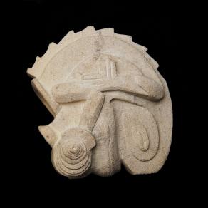 chameleon without camouflage